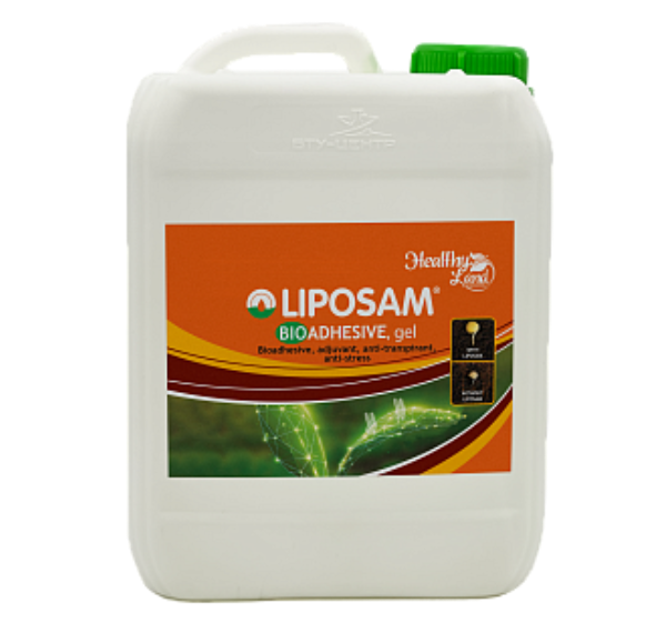 - liposam 5 lit 600x600