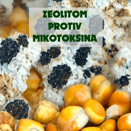 Zeolitom protiv mikotoksina ver