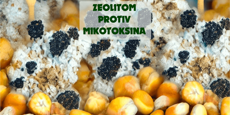 Zeolitom protiv mikotoksina ver